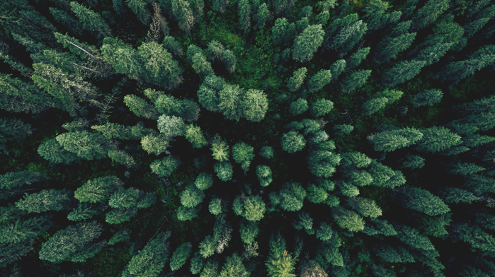 6 Outdoor Sex Spots You Never Thought To Try