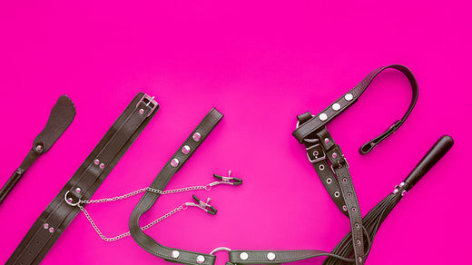 BDSM Harness