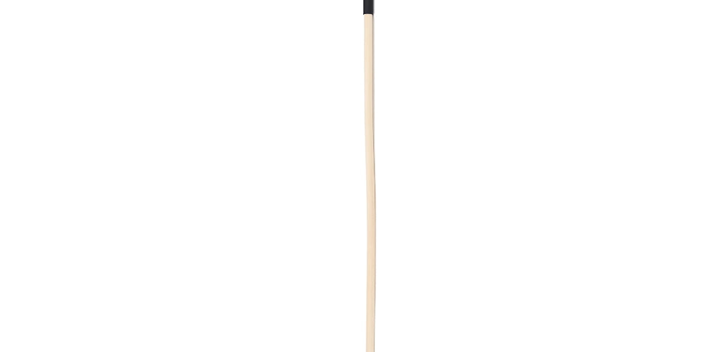 bound-to-please-spanking-cane