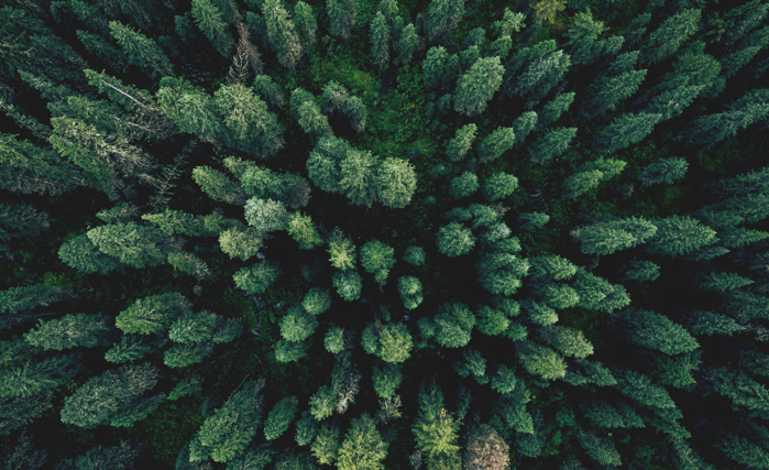 6 Outdoor Sex Spots You Never Thought To Try