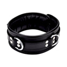 bound-leather-collar
