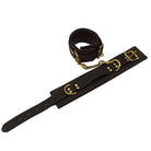 bound-nubuck-leather-ankle-restraints