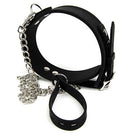 bound-to-please-silicone-collar-and-lead-set
