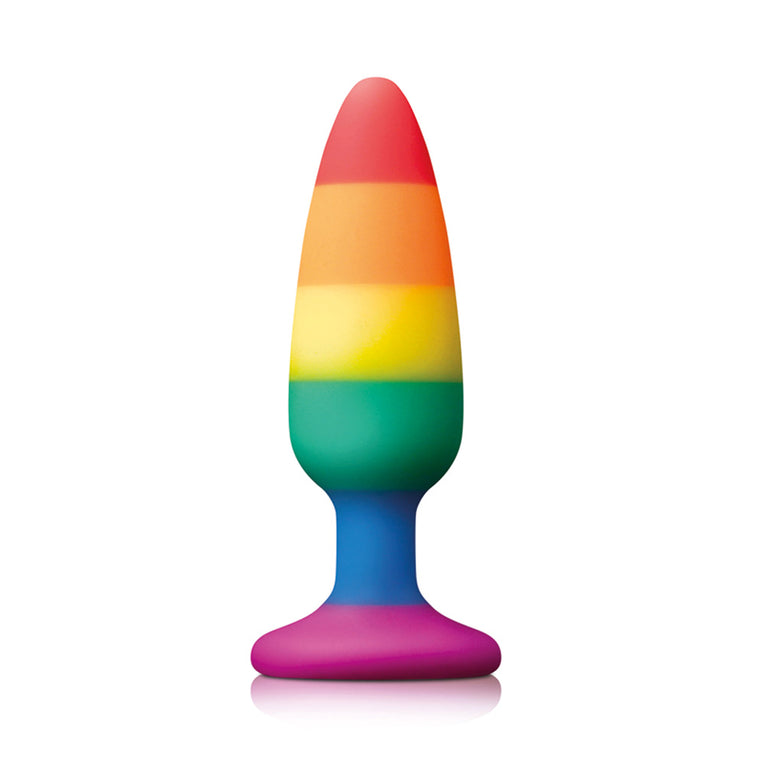 Rainbow Medium Pride Plug for Pleasure