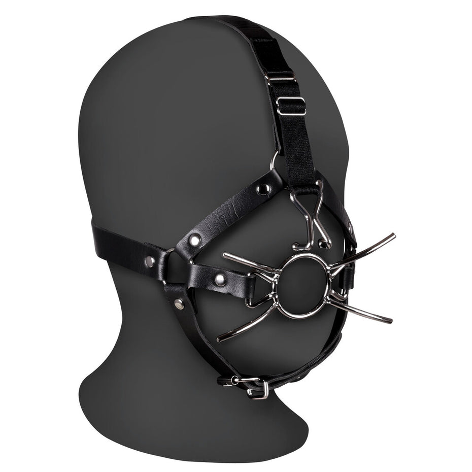 Xtreme Ouch Head Harness with Spider Gag and Nose Hooks