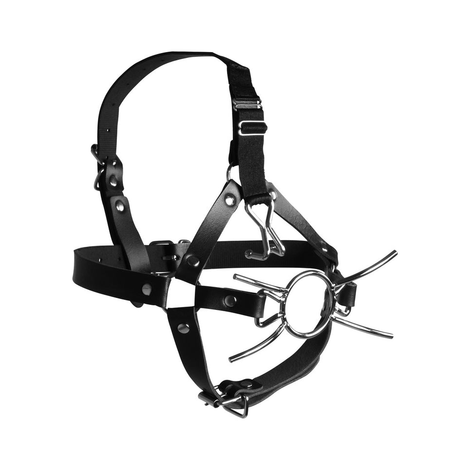 Xtreme Ouch Head Harness with Spider Gag and Nose Hooks