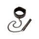Collar and Leash Set from Boundless.