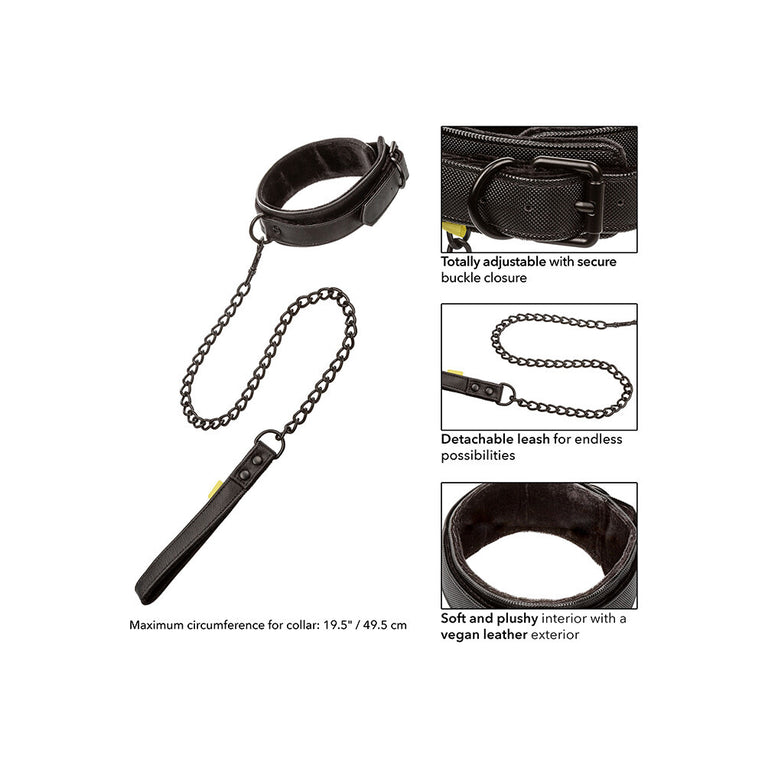 Collar and Leash Set from Boundless.