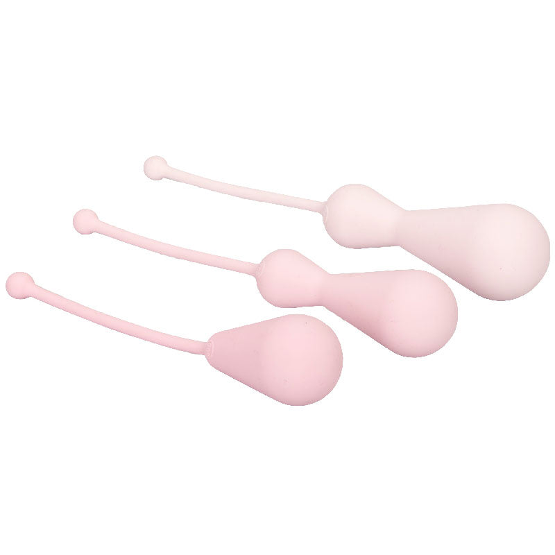 Kegel Training Kit with Weights and Silicone by Inspire.