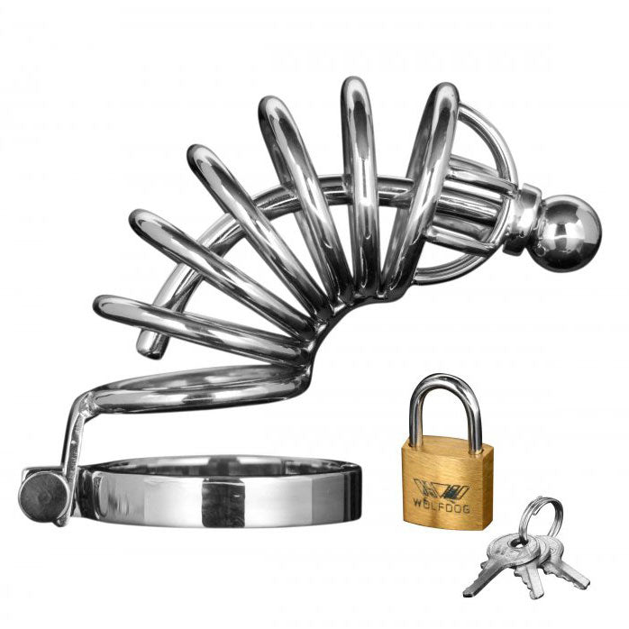 6 Ring Lockable Chastity Cage - Asylum