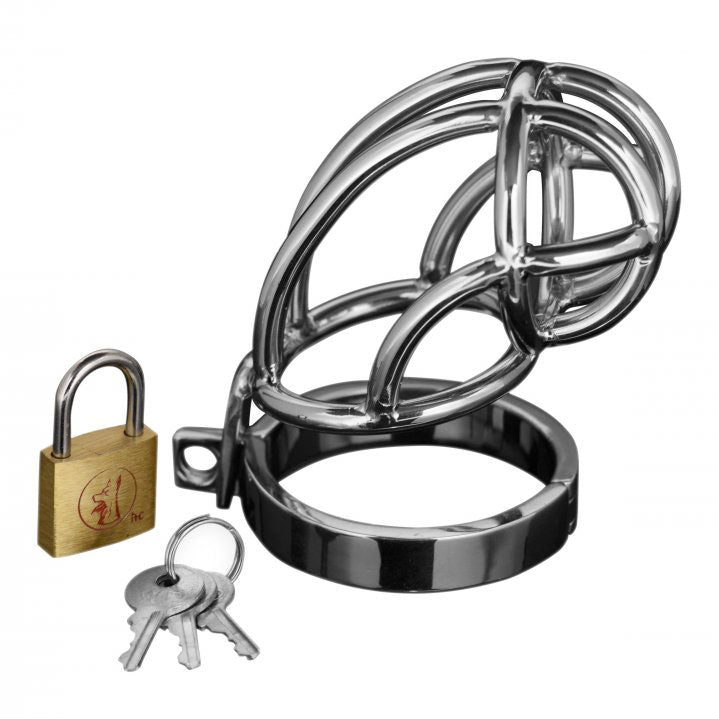 Stainless Steel Chastity Cage with Lock