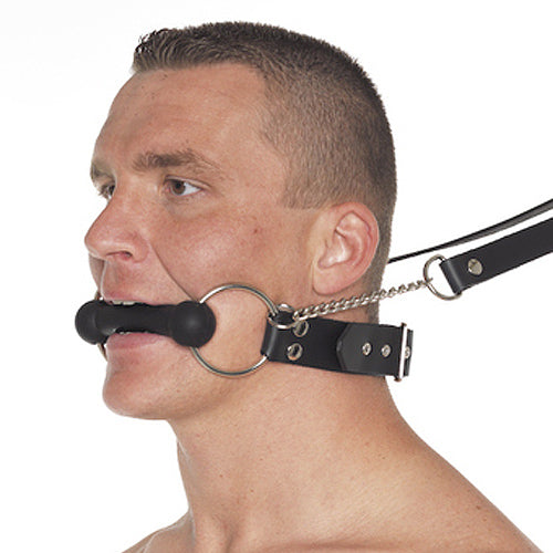 Leather Bit Gag with Reins for Horses.