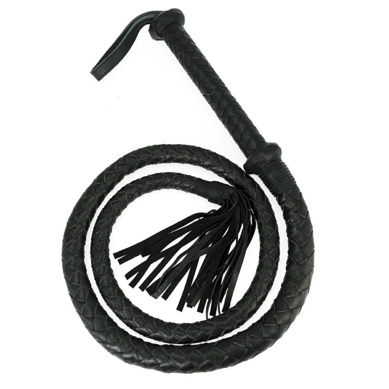 Black Arabian Whip